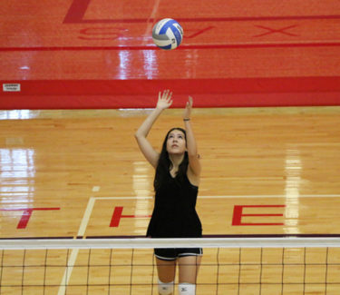 Volleyball player serving ball