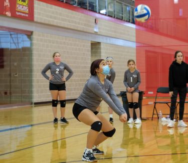 Volleyball players on court