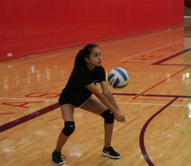 Volleyball players setting ball