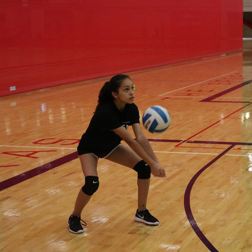 Volleyball players setting ball